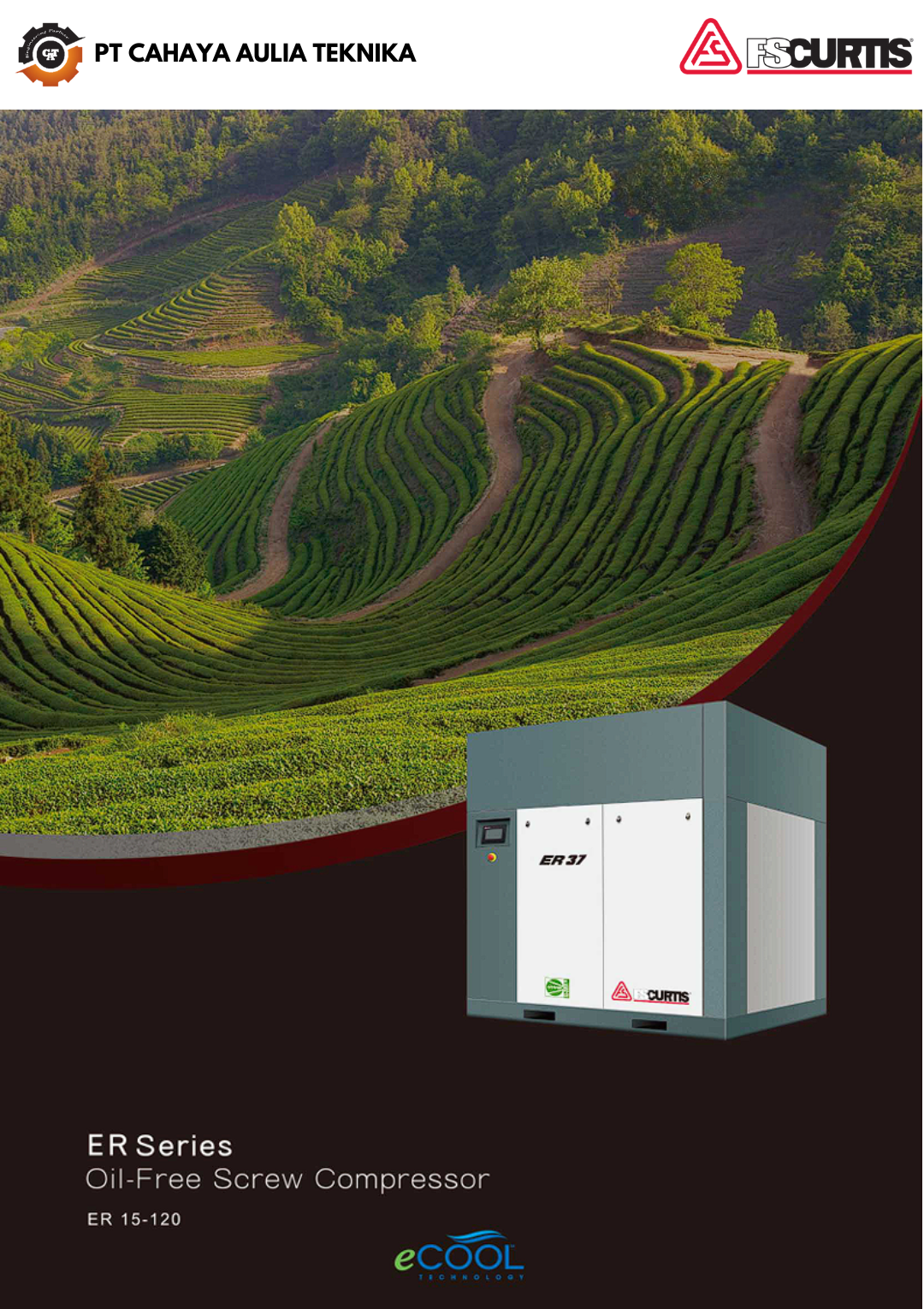 FS Curtis ER Series Oil-Free Screw Compressor
